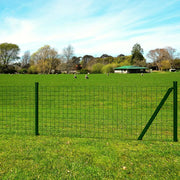 Recinzione Euro in Acciaio 25x0,8 m Verde 142398