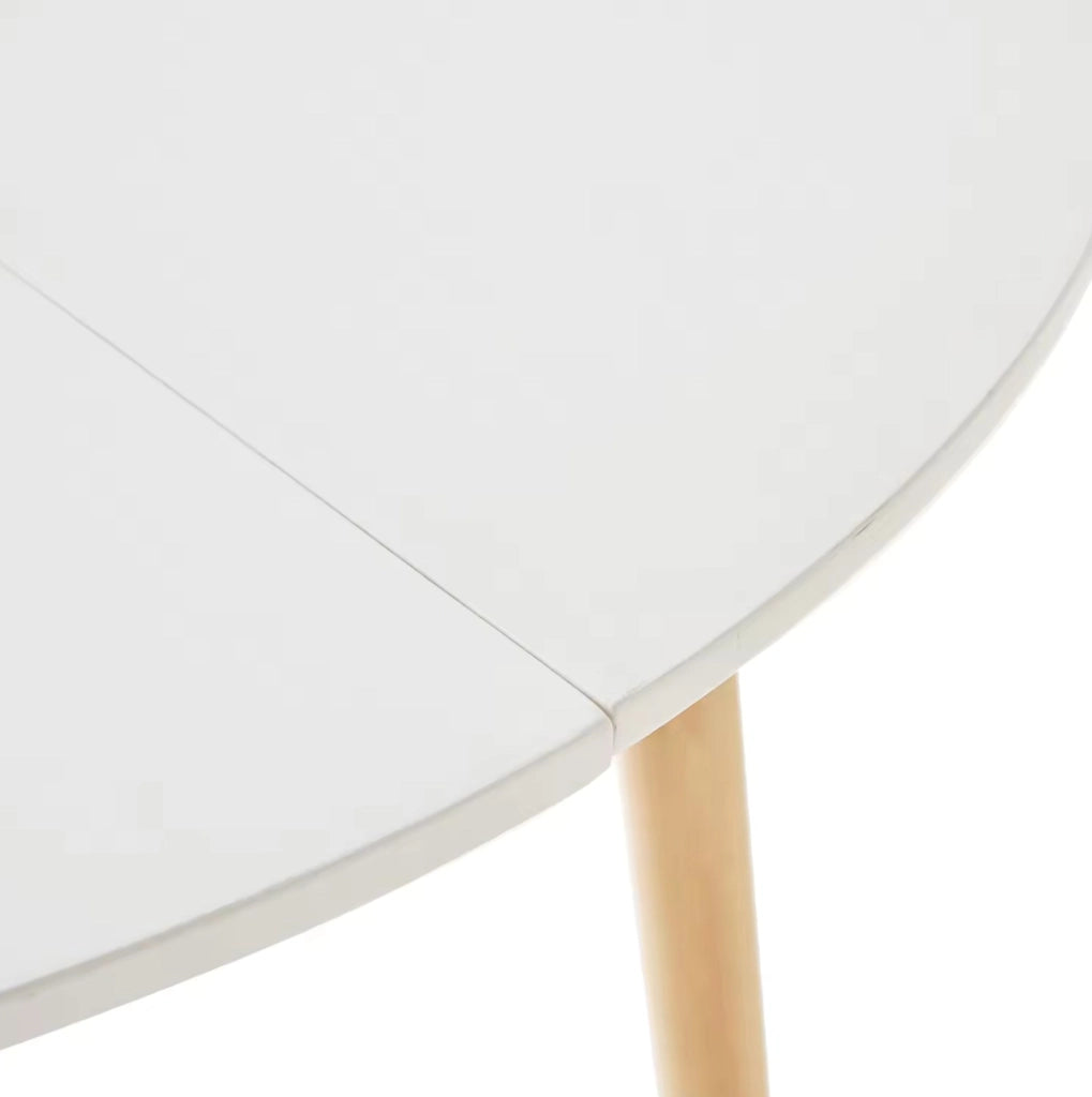 Set da Pranzo Moderno con Tavolo Rotondo Ø80 cm e 4 Sedie in Legno e Plastica