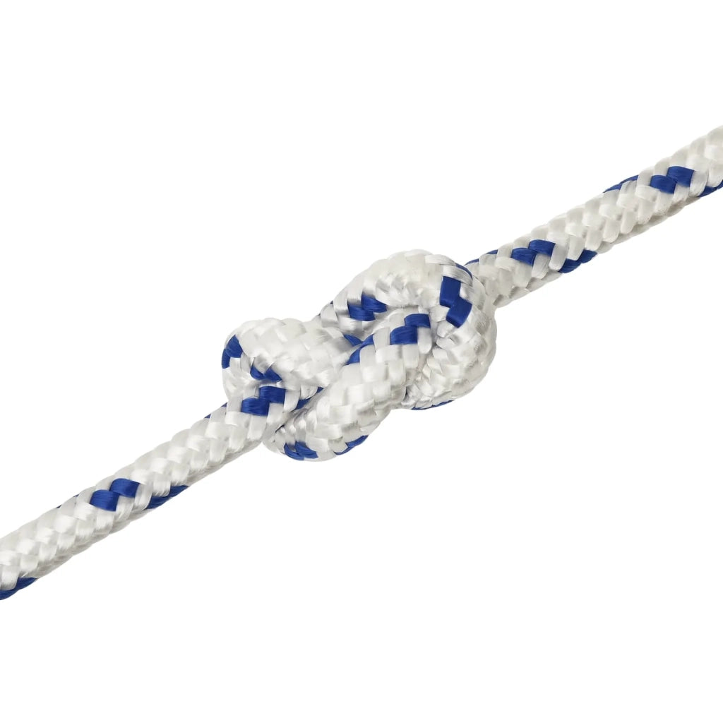 Corda multiuso 12 mm 25 m Bianco e Blu PP 930 kg Carico massimo 3473170