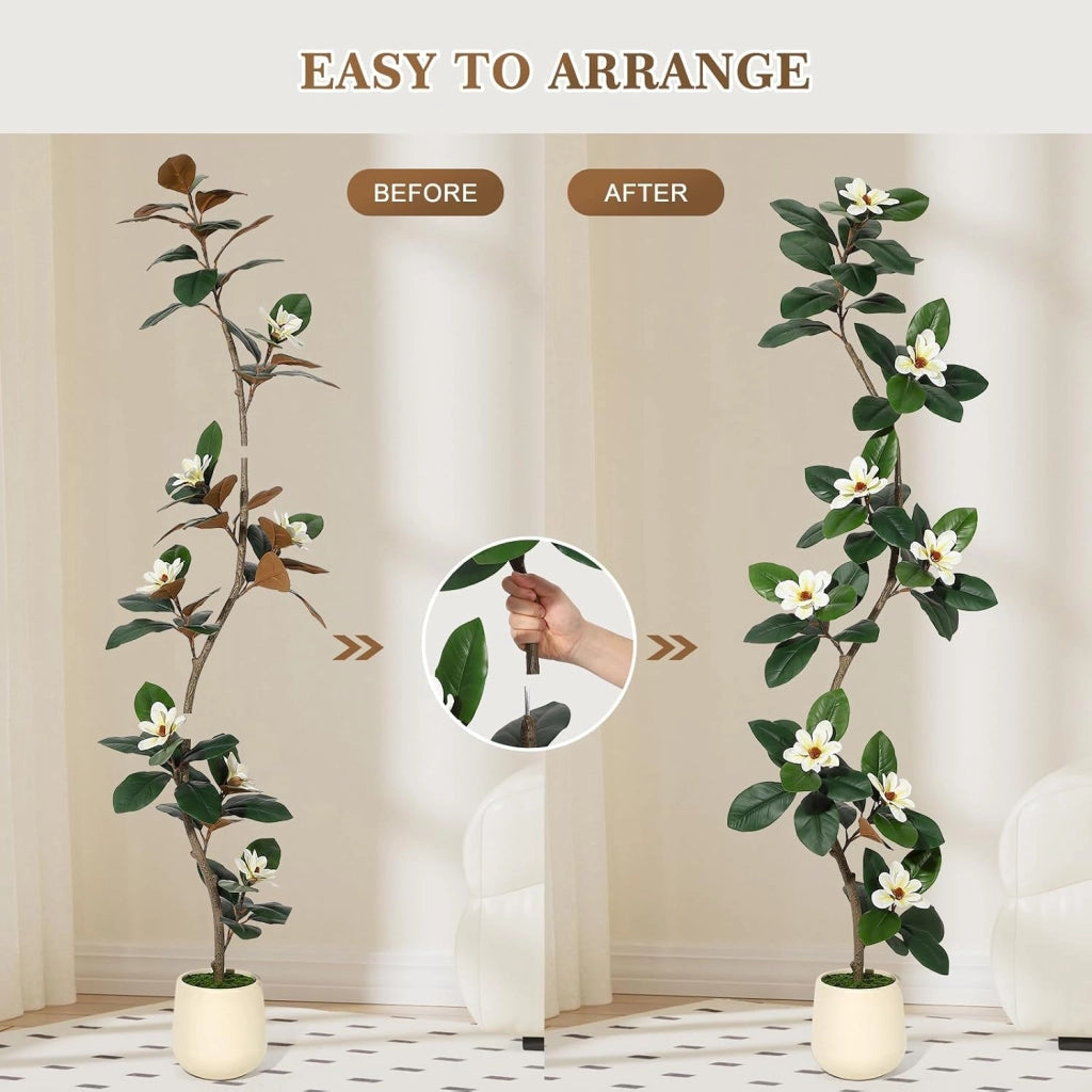 Ficus Elastica Artificiale 210 cm con Fiori di Magnolia e Vaso Bianco Alto