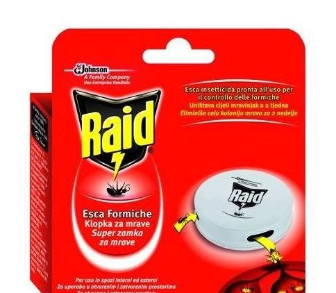 SET RAID 4 ESCHE PER LE FORMICHE IN CONFEZIONE
