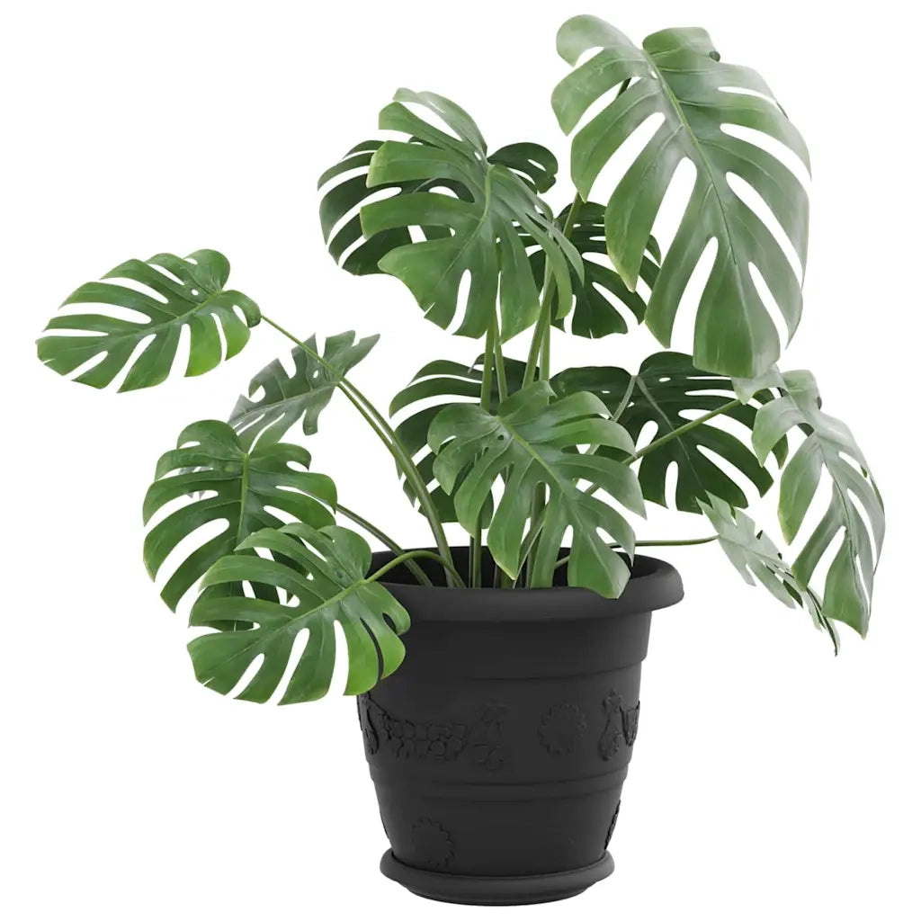Vassoio Rotondo per Fiori 6 pz Nero ? 17,5 x 2 cm Plastica CFW9107709