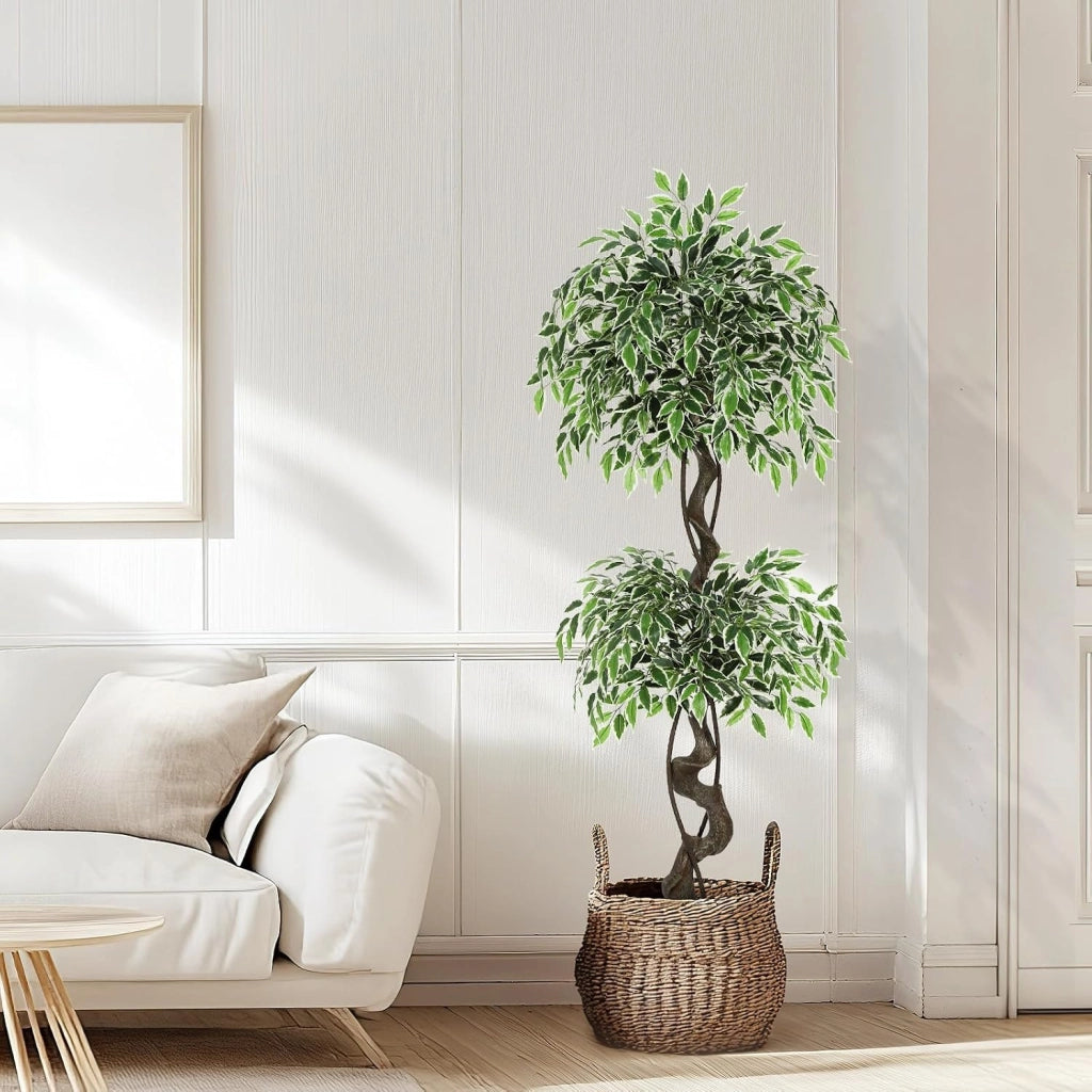 Ficus Artificiale Multitronco 150 cm con Vaso Ciottoli e Muschio Decorativo