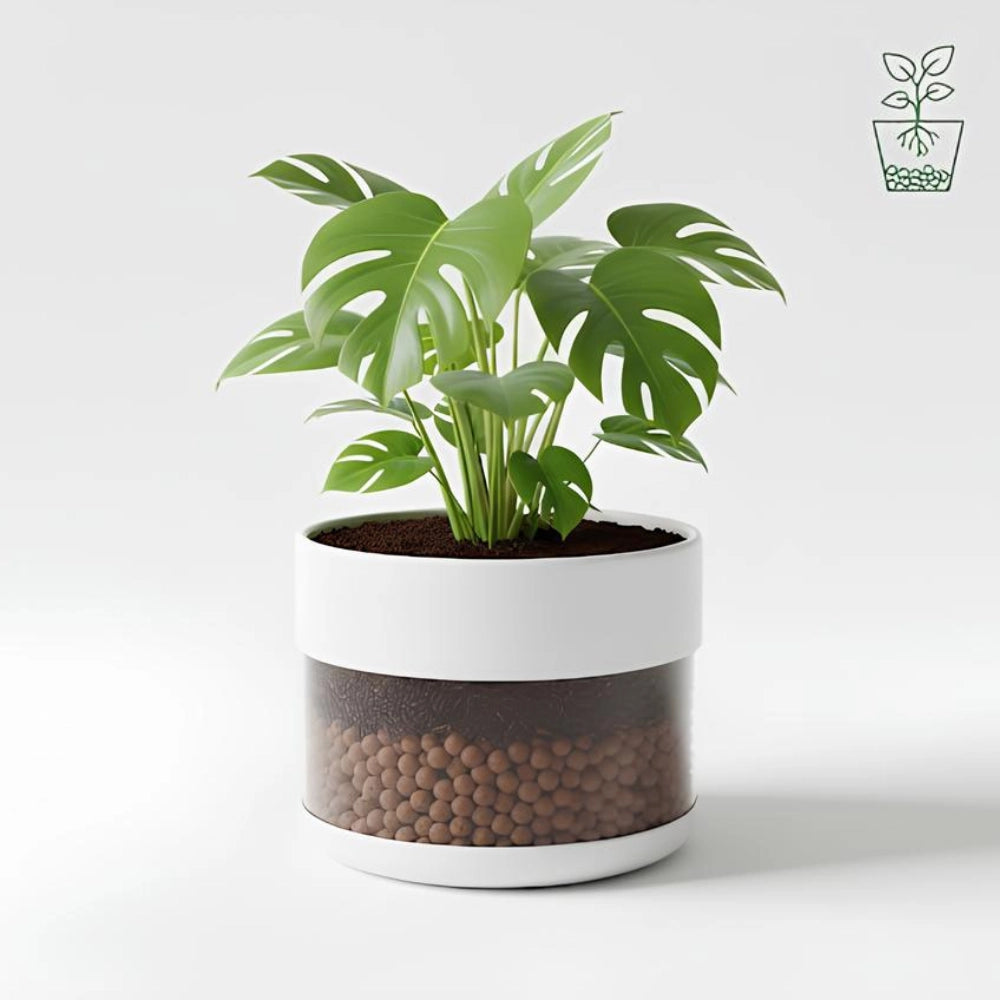 Argilla espansa leggera per piante 50 l 8-20 mm