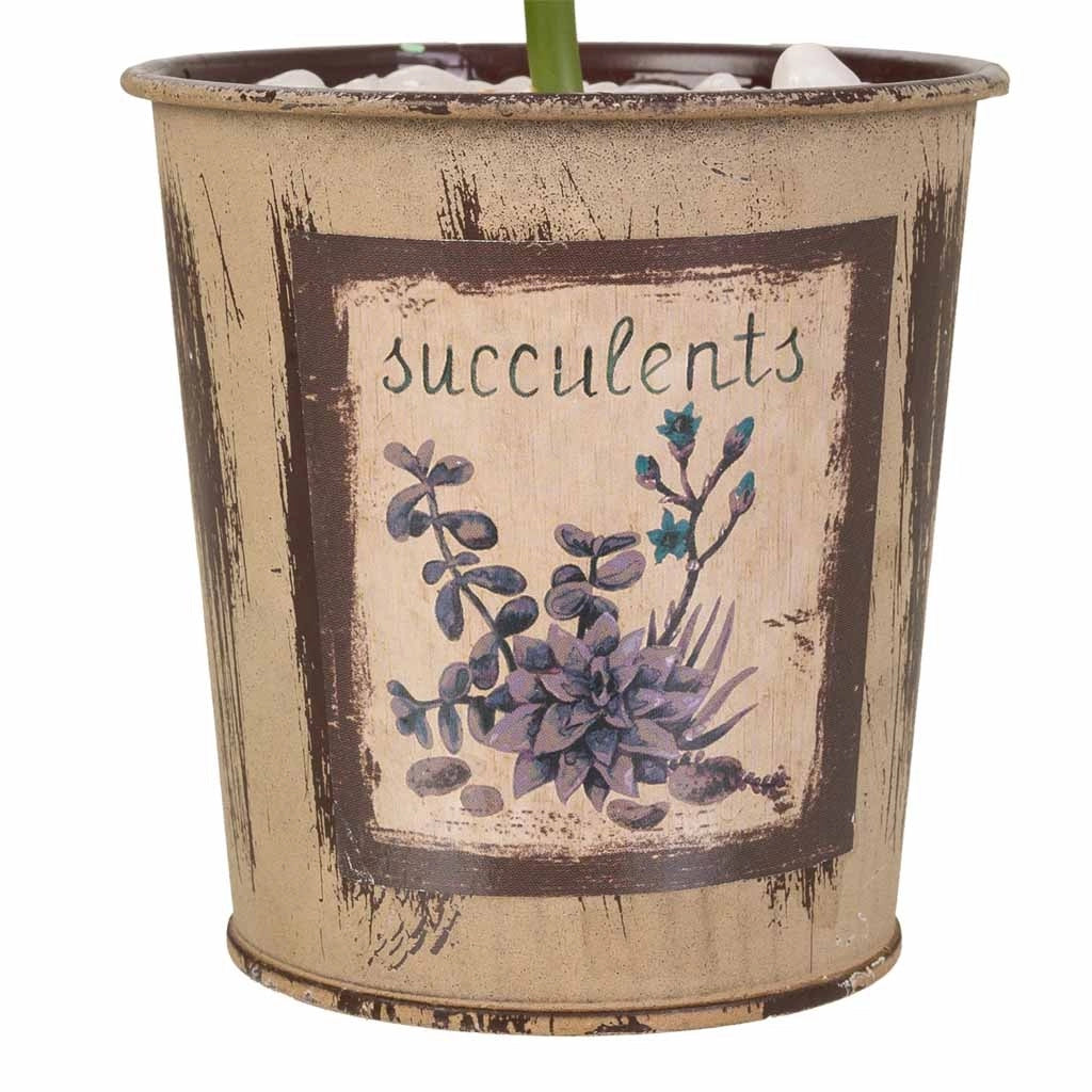 Vaso con pianta artificiale 10x10x22h
