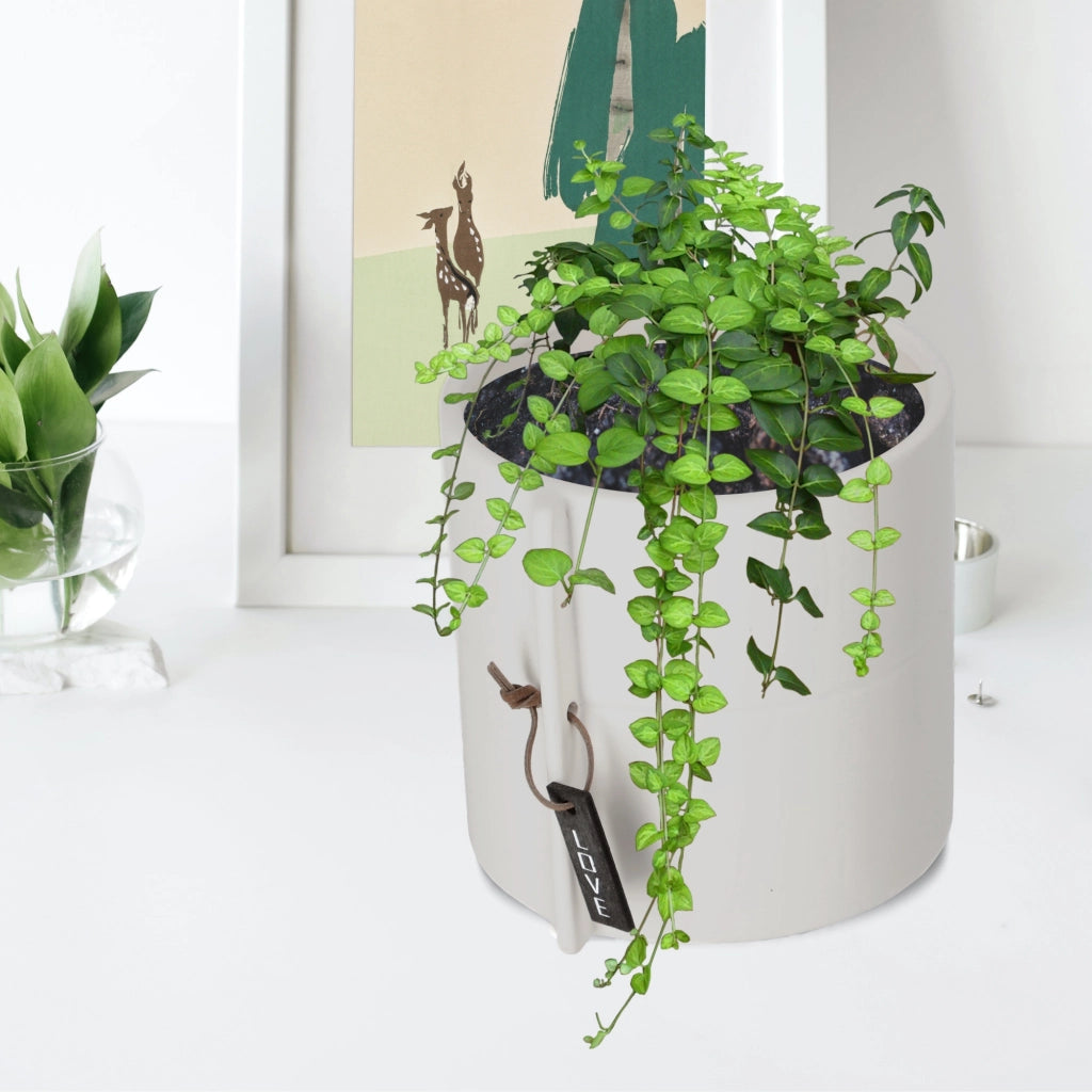 Vaso da fiori in ceramica KADAX, rotondo, grigio, 17 cm