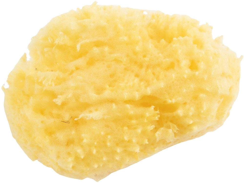 Spugna per Bagnetto morbida e delicata