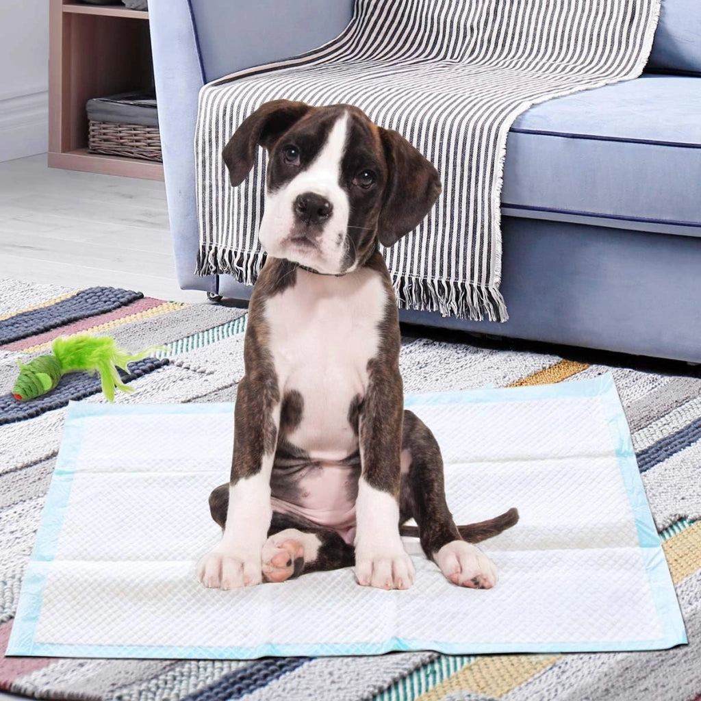 Tappetini Igienici Grandi per Animali, Traverse Animali a 5 Strati, Assorbe Bene Senza Perdite (60 x 90 cm 100 Pezzi)
