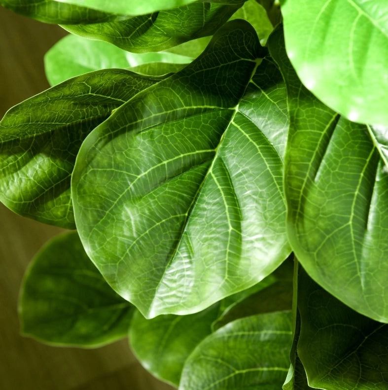 Ficus artificiale 15x15x110 cm in plastica verde con vaso per soggiorno