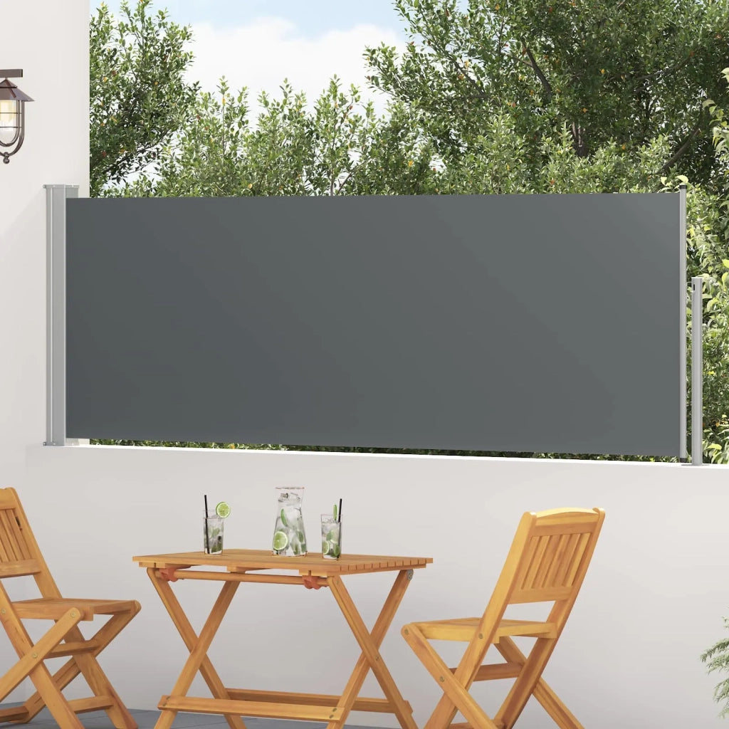 Tenda da Sole | Tenda laterale retrattile Antracite 300 x 100 cm Poliestere