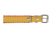COLLARE PER CANI CUOIO FODERATO- - cm.37x1,6 - 5 pezzi IL CAMPO
