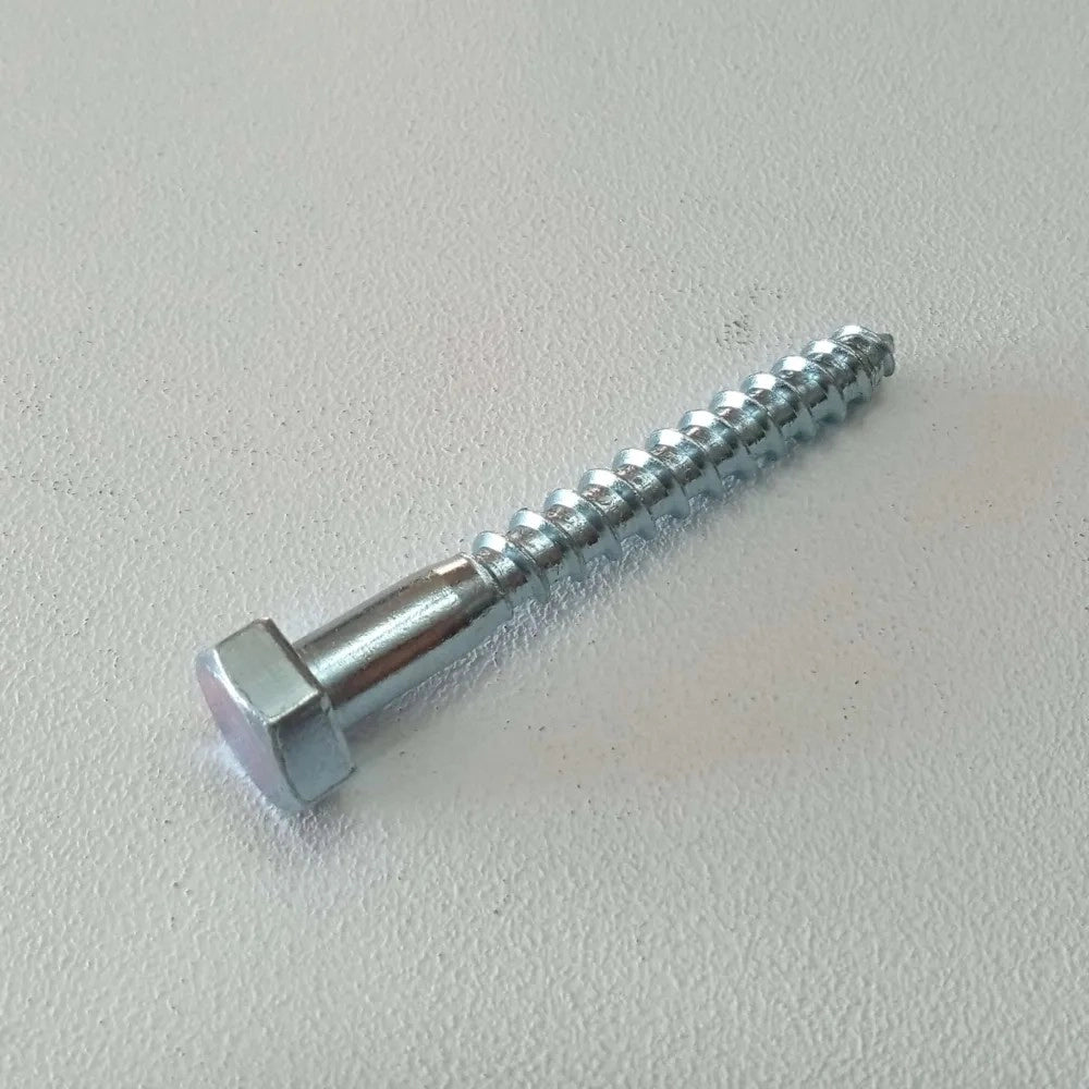 Vite 12x100mm - 10pz per legno mordente tirafondo testa esagonale te