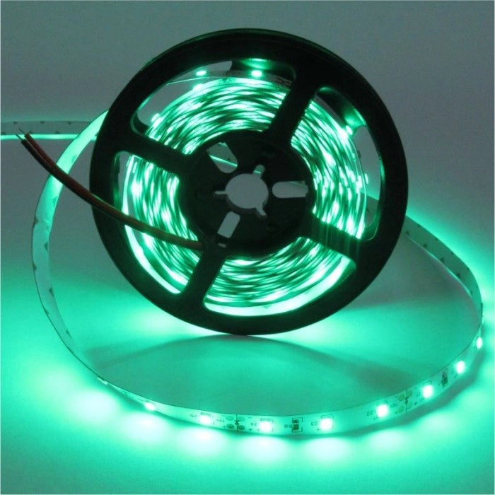 Striscia LED verde 5m 4,8W/m 12V IP20 dimmerabile Ecolight