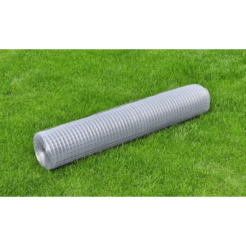 Recinzione da Giardino | Recinzione in Rete per Pollaio Acciaio Zincato 25x1 m Argento
