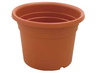 VASO CILINDRO DAHLIA- - ø cm.30x21h. - 12 pezzi ICS