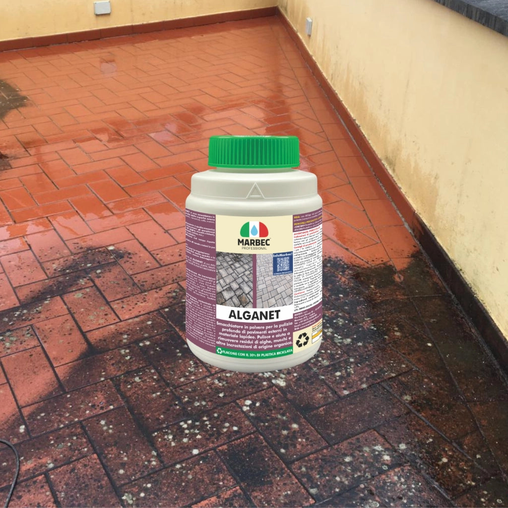 Pulizia pavimenti esterni ALGANET   800GR + Tampone Marrone