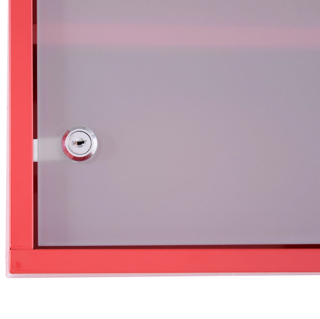 Armadio Porta Medicinali in Acciaio con Porta in Vetro Satinato e Serratura, 30x12x60 cm