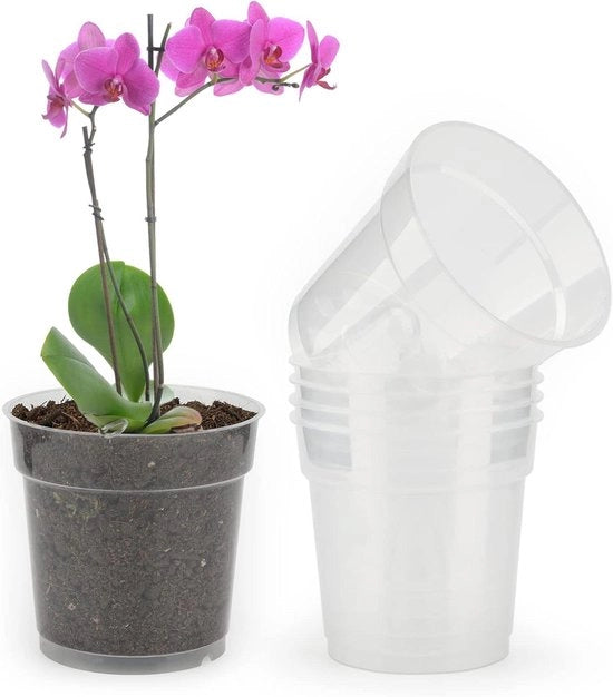 Set di vasi per orchidee trasparenti - 6 pezzi - 11,5 cm - plastica