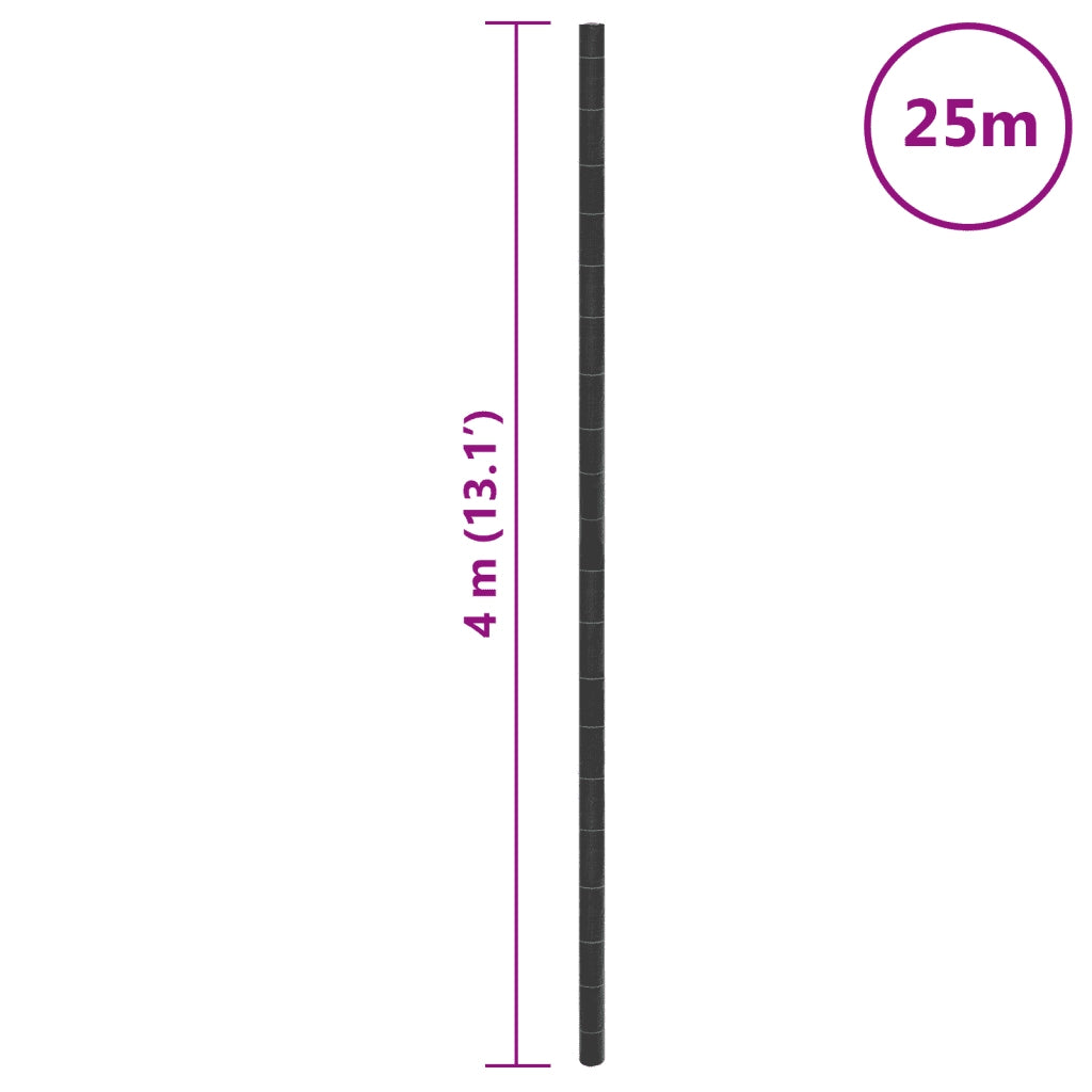 Membrana Antierbacce Nera 4x25 m in PP CFW7775977