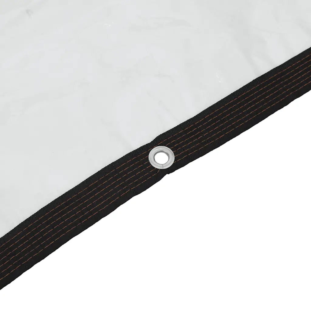 Telone Trasparente con Occhielli 2x12 m in Polietilene