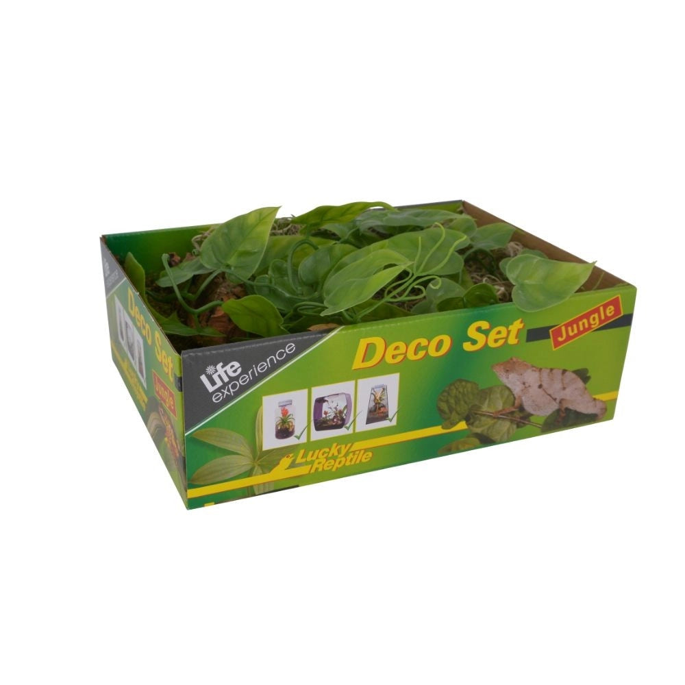 Lucky Reptile Deco Set Jungle – Set Decorazioni per Terrari Tropicali