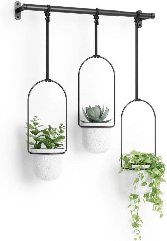Piantine da Appendere in Bianco da Umbra