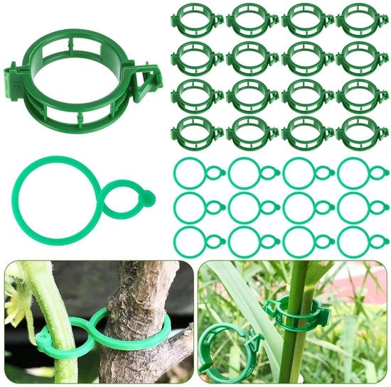Clip per piante in vetro