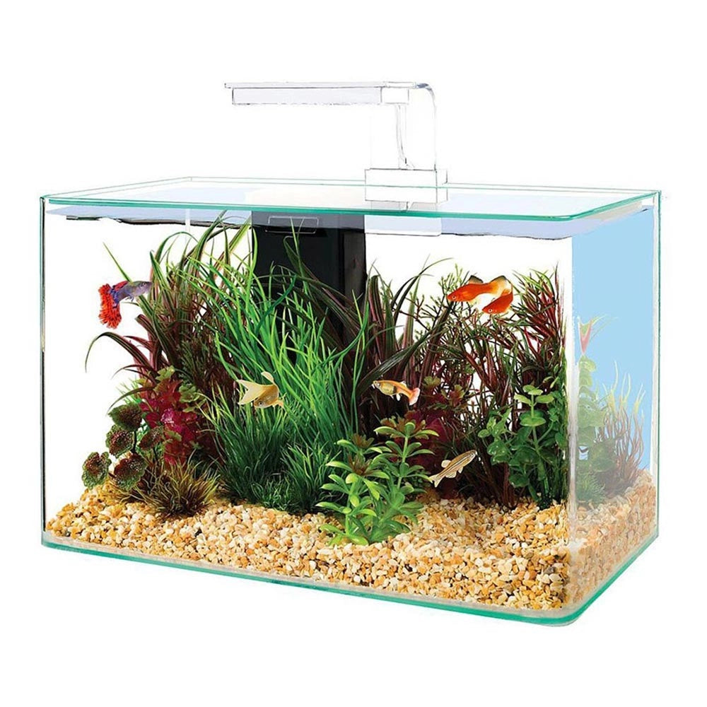 Zolux Clear 40 - acquario 17L cm40x20x25h con filtro interno e plafoniera LED Colore: Bianco