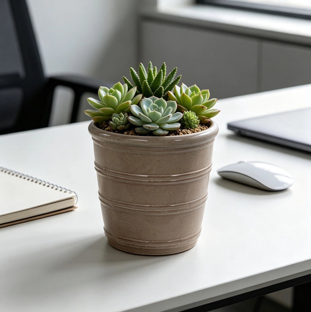 Vaso da Fioriera in Ceramica Fatto a Mano Ø 24 cm, Taupe Brillante con Rilievi Orizzontali, Traspirante e Resistente al Gelo, con Fori di Drenaggio