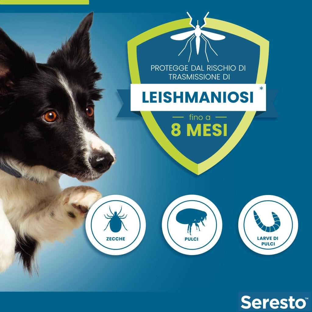 Bayer COLLARE ANTIPARASSITARIO SERESTO per cani fino a kg. 8 cm. 38