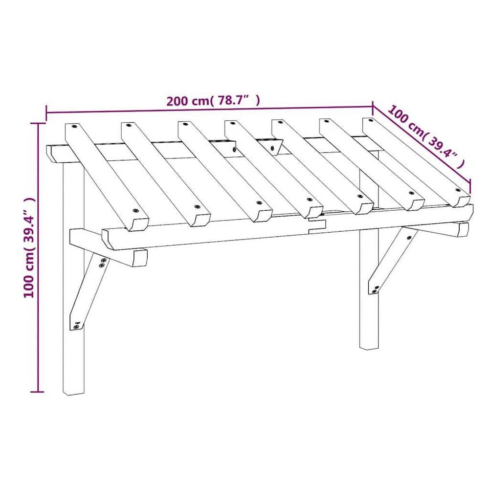 Door Canopy 200x100x100 Cm Solid Pine Wood