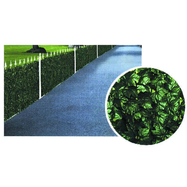Il Campo 06232 Siepe edera h 150 m 20 colore Verde