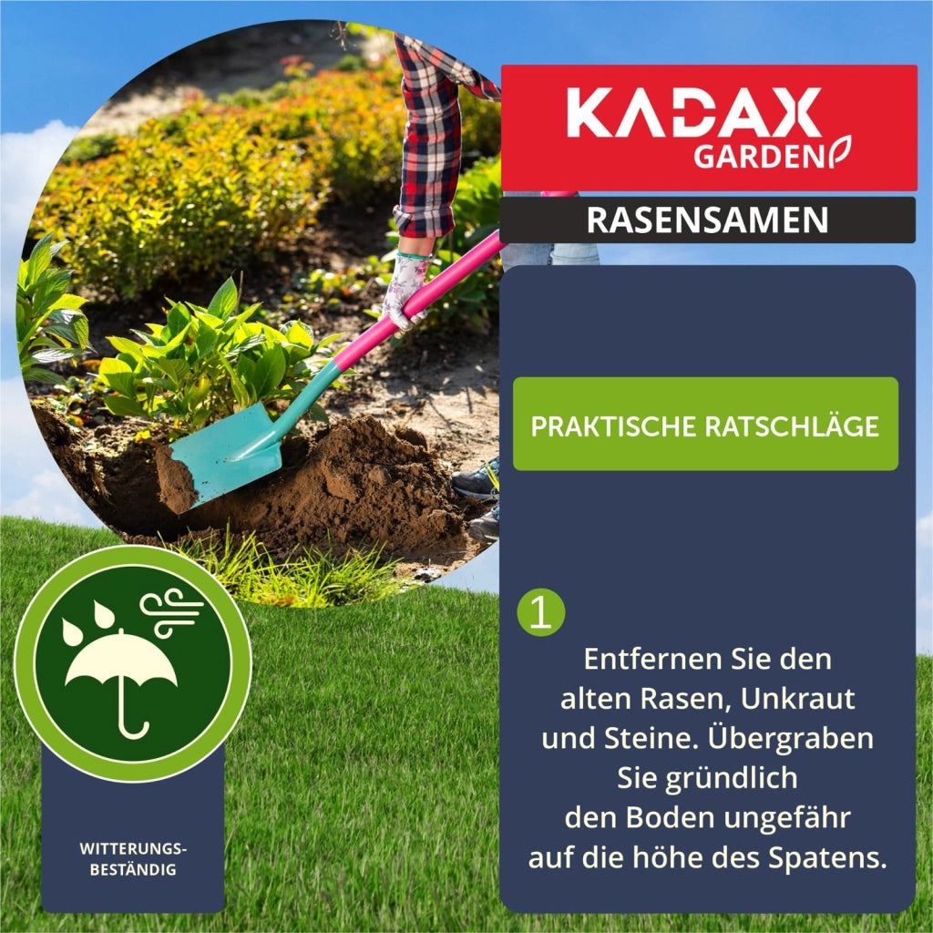 Semi per prato KADAX 15 kg Universali Autocompattanti Resistenti al calpestio 600 m²