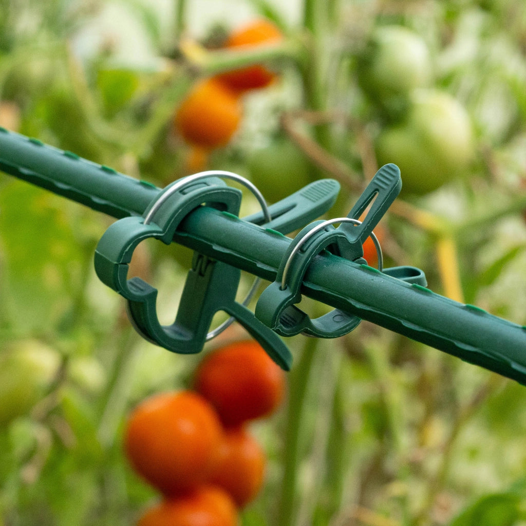 Clip KADAX per piante di pomodoro, germogli, steli, pali, clip, 20 pezzi