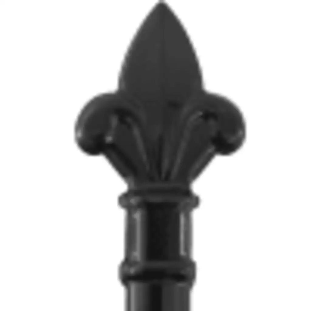 Cancello per recinzione Woerden Doppia porta con punta superiore 299,5x224,5 cm 145737