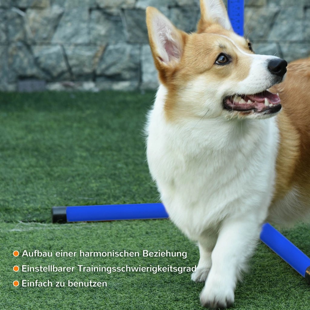 Set Agilità per Cani 4 Pezzi, 99x65x94 cm, Altezza Regolabile, 2 Asti Ostacoli, 2 Slalom, 4 Barre a Terra in Plastica, Blu