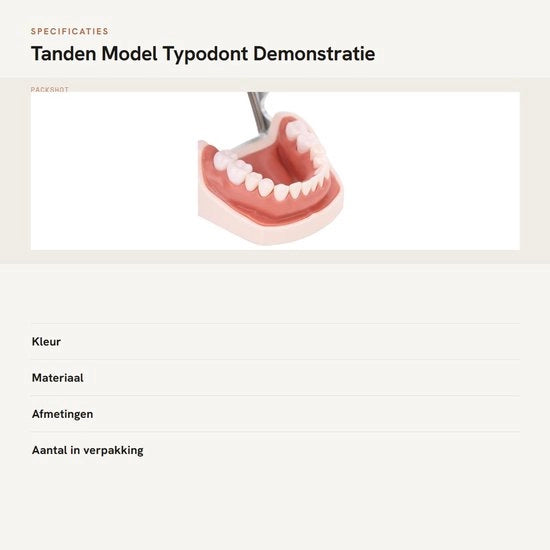 Modello di Denti Standard - Tipo Dentale - Dimostrativo - Educativo - Studiato - Incluso Chiave a Lame