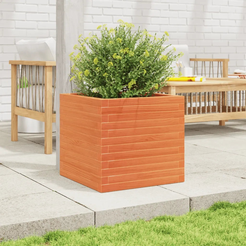 Fioriera | Cassetta per fiori | Vaso Giardino Marrone Cera 50x50x46 cm Legno Massello Pino