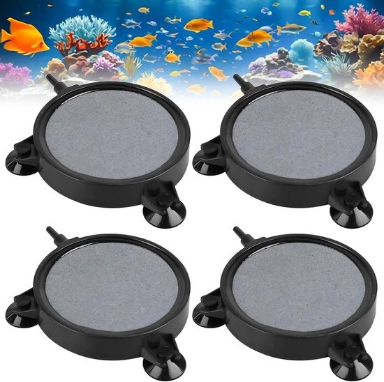 Pietre di ossigenazione per acquari 100 mm per vasche e acquari