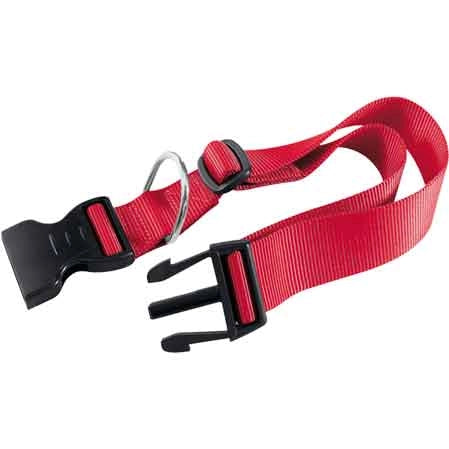 COLLARE PER CANI 'CLUB C' 15 mm x 30÷44 cm - FERPLAST