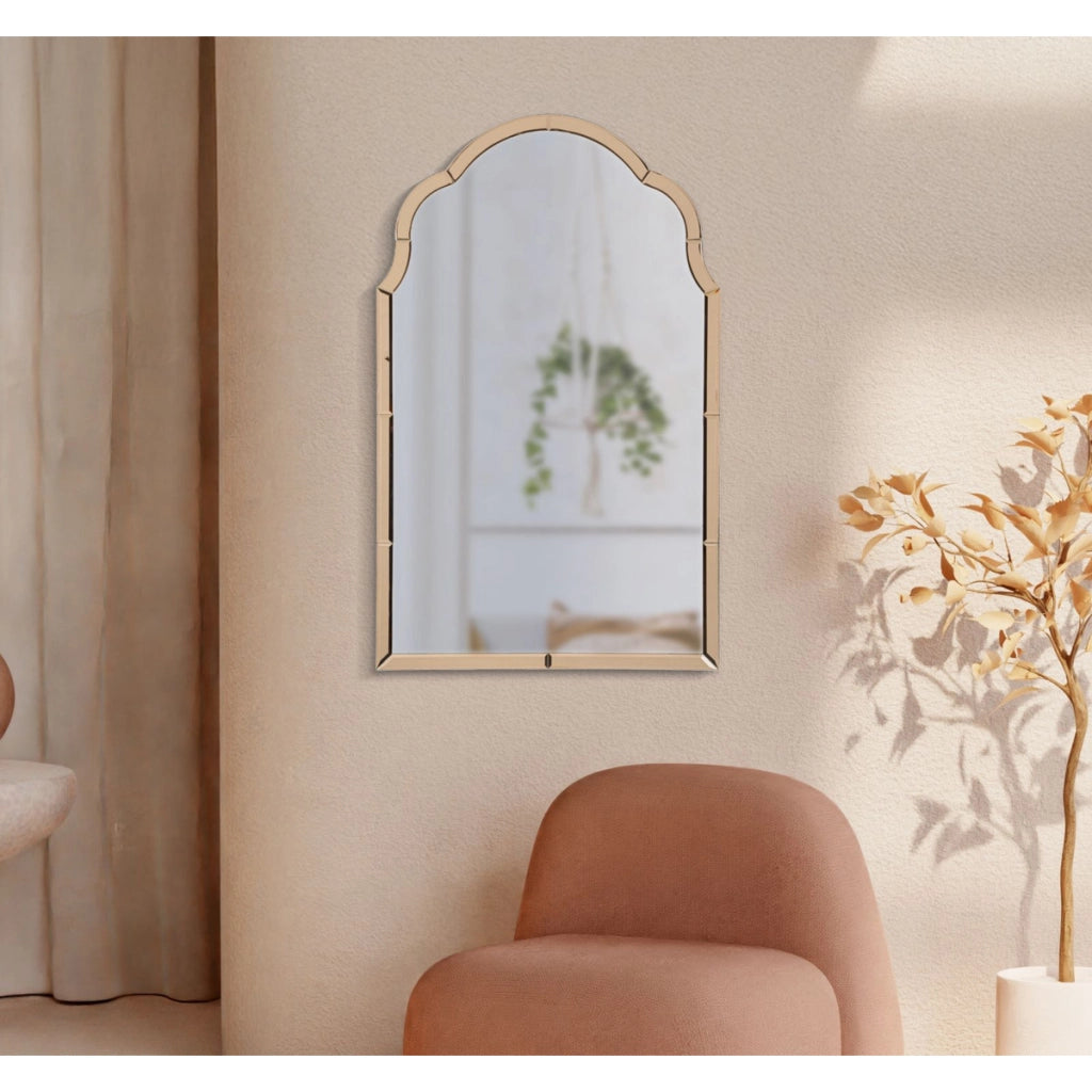 Specchio con Cornice Classico 6, Rosa, MDF, 100x62x1 cm
