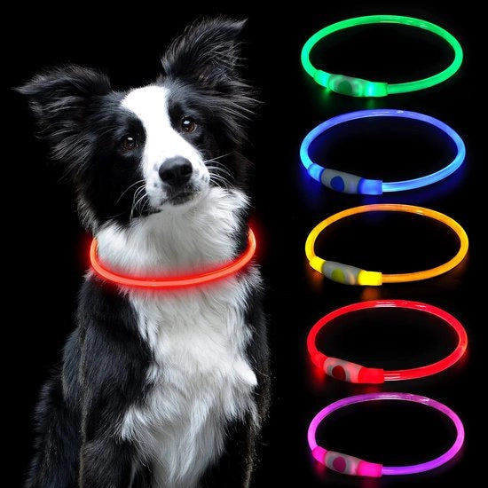 Collare illuminante per animali domestici - Collare LED - Collare di sicurezza per cani e gatti - Rood - Ricaricabile via USB - Adatto per cani e gatti - 70 cm