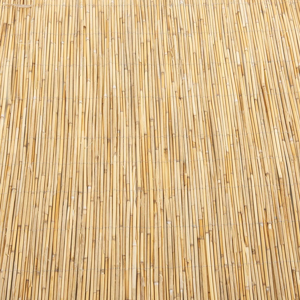 Recinzione Frangivista Abbateggio in Canna Naturale 200 x 500 cm casa.pro