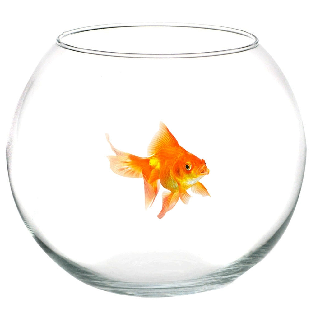 Trade Shop - Ampolla Boccia Per Pesci In Vetro 20 Cm Acquario Pesce Rosso Centrotavola -