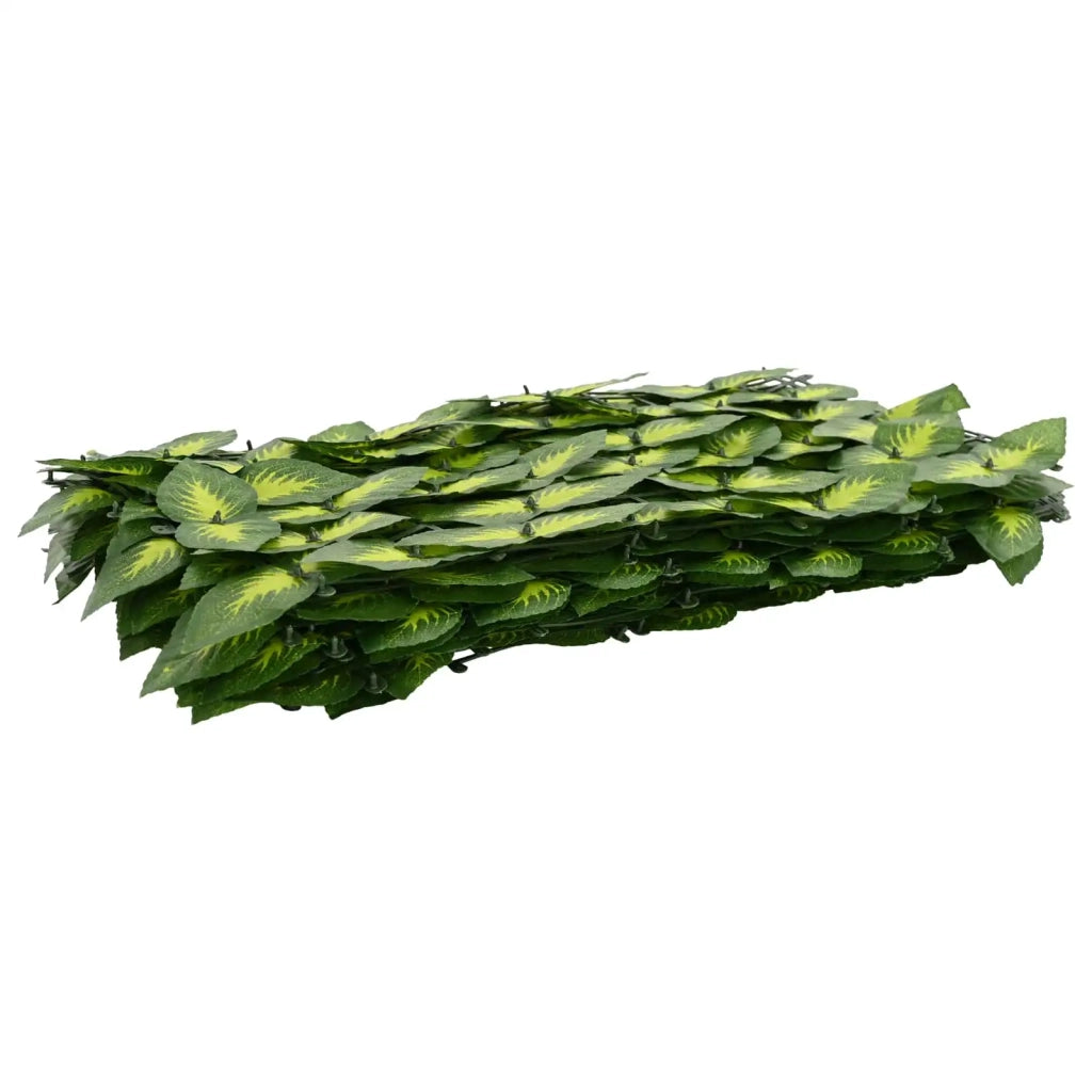 Paravento da Balcone | Schermo per balcone con foglie Verde e Giallo 600 x 100 cm