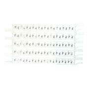 CSC/77 TABELLA 100 CARTELLINI 7