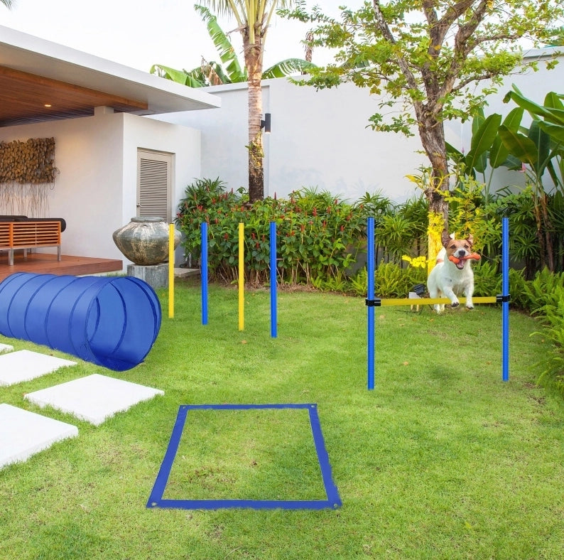 Set agility per cani 5 pezzi 148 x 60 cm in poliestere giallo con borsa