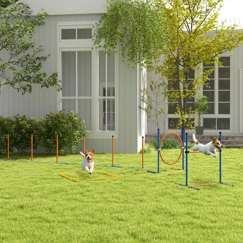 Gioco per Cani Agility ¨C zephmum ¨C 4 Pezzi, Arancione e Blu