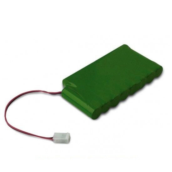 BATTERIE TAMPONE NICE PS424 PER KIT AUTOMAZIONE WALKYKIT 2024