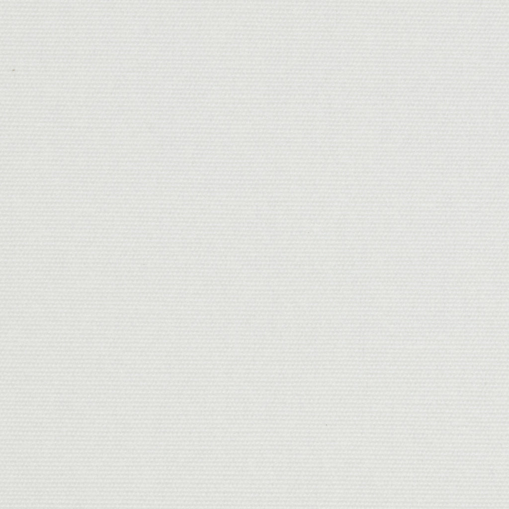 VIEWTEX Tenda a rullo Traslucida Chela Bianco 220 X 250cm - Made in Europe - 5 anni di Garanzia